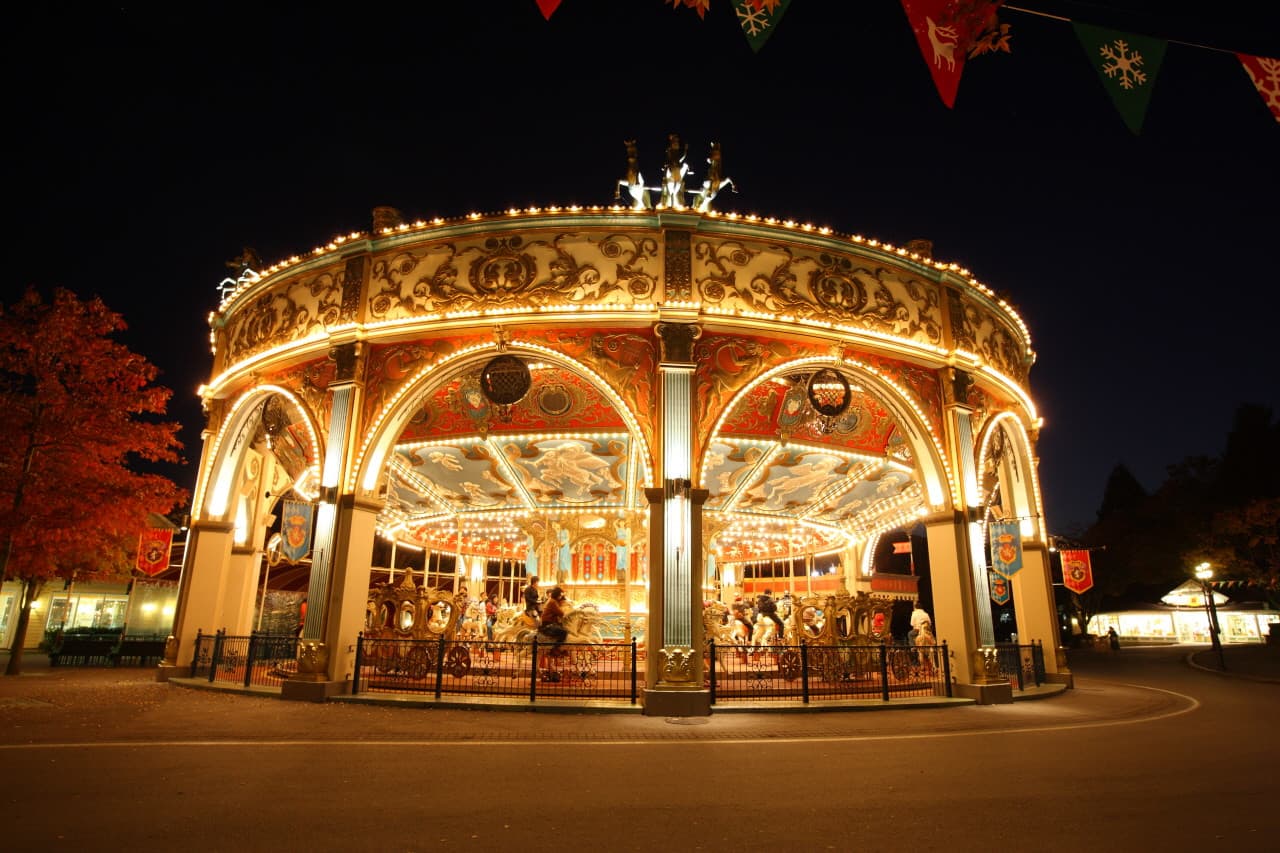 Everland Theme Park with Round Trip Transfers from Seoul - image 17
