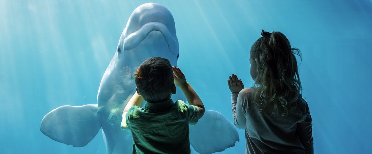 Chicago CityPASS: Admission to 5 Top Attractions - image 2