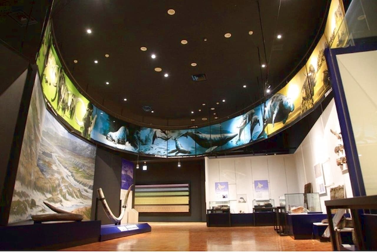 Hokkaido Museum Ticket - image 12