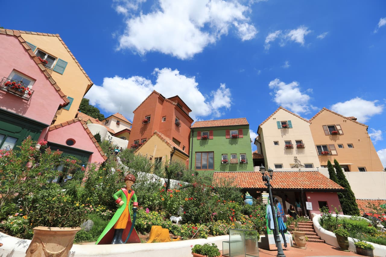 Nami Island, Petite France, Italian Village, and Garden of Morning Calm Tour from Seoul - image 3