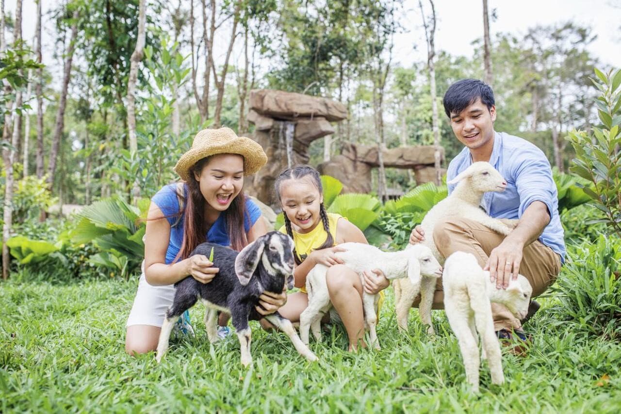 Entrada para Vinpearl Safari Phu Quoc - imagen 10
