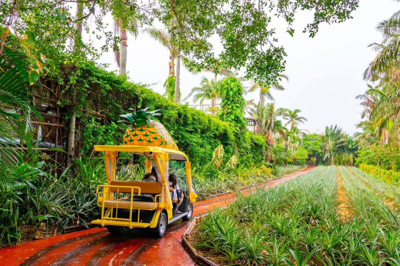 Okinawa Nago Pineapple Park - main image