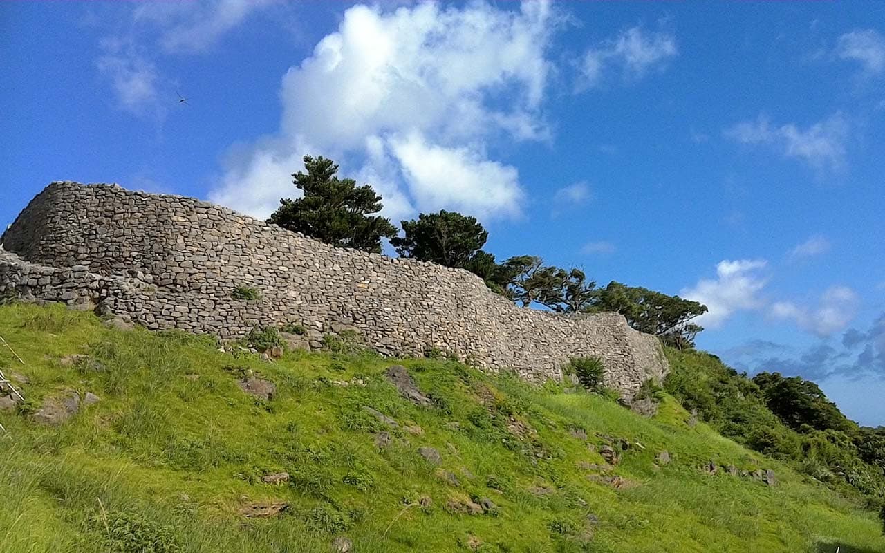 Okinawa Churaumi TokuToku 5 Pass - image 16