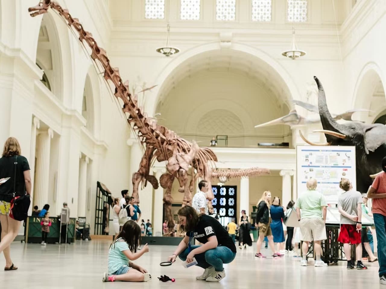The Field Museum of Natural History Ticket - image 10