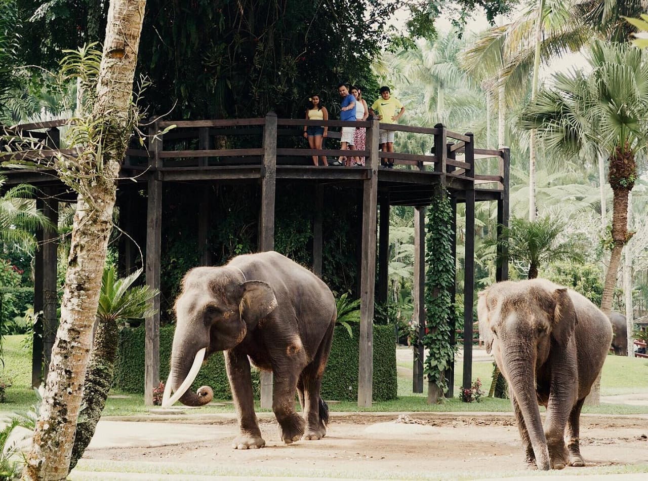 Mason Elephant Park Bali de Mason Adventures (anteriormente conocido como Elephant Safari Park) - imagen 8
