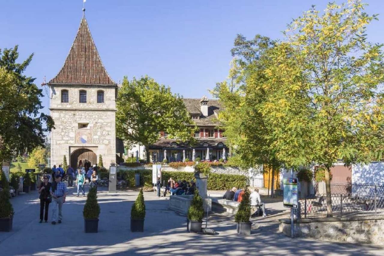 Rhine Falls Tour from Zurich - image 5