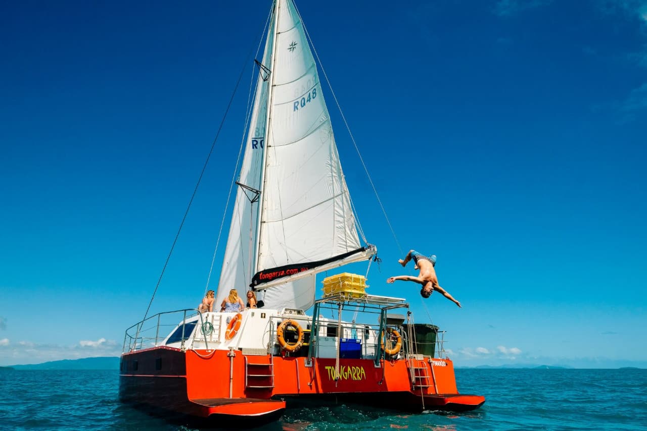 Tongarra Day Sailing Tour - image 13
