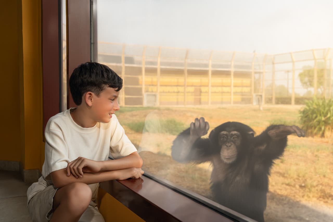 Dubai Safari Park Ticket - image 16