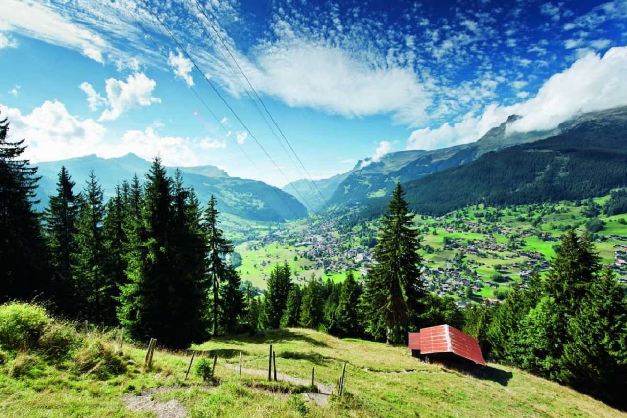 Grindelwald, Interlaken, and Lauterbrunnen Full-Day Tour - main image