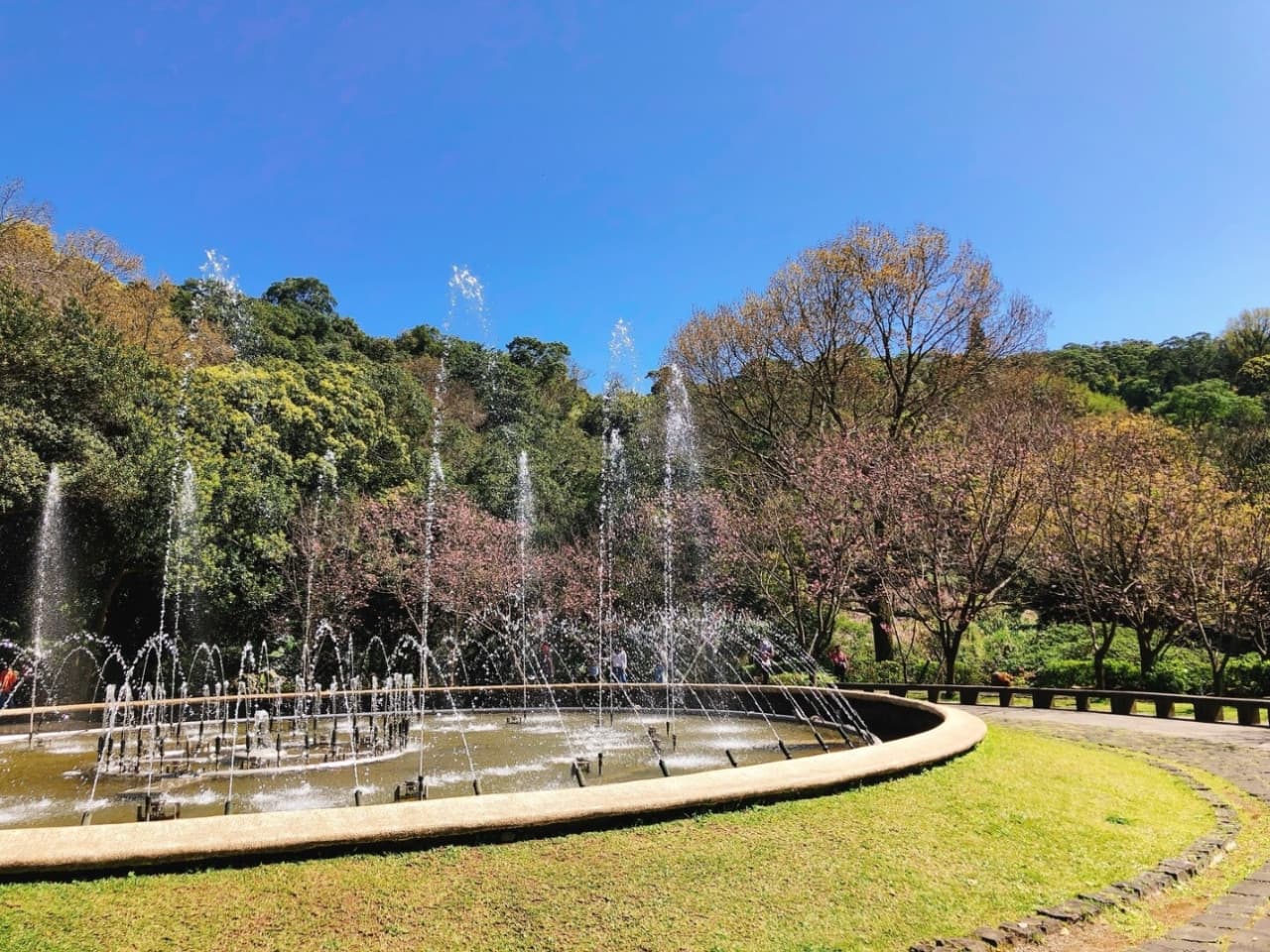 Yangmingshan National Park and Beitou Hot Spring Full-Day Tour from Taipei - imagen 11