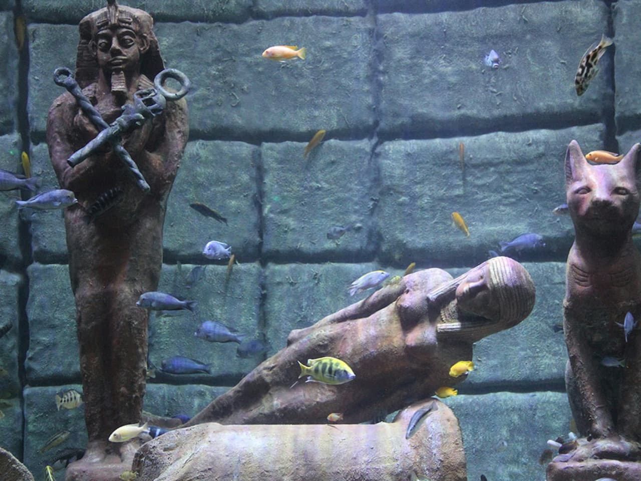 Antalya Aquarium and Face 2 Face Wax Museum Ticket - image 4