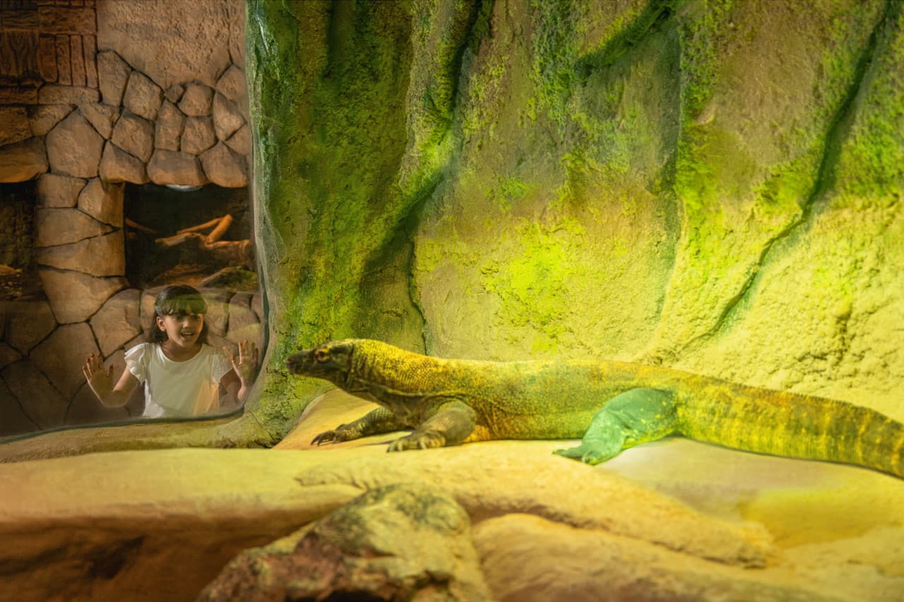 Dubai Safari Park Ticket - image 15