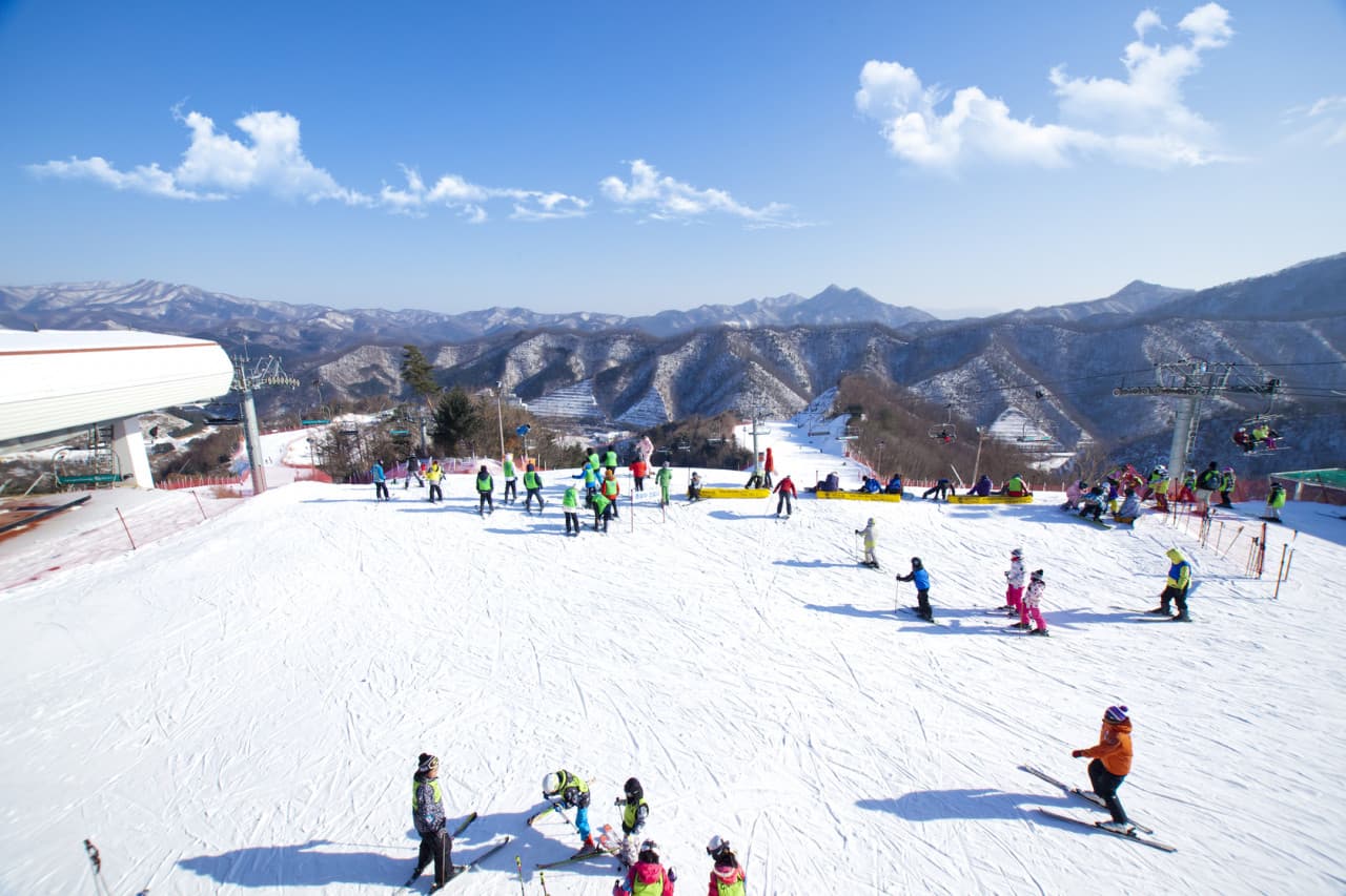 Elysian Gangchon Ski Resort and Nami Island Full-Day Tour from Seoul - image 2