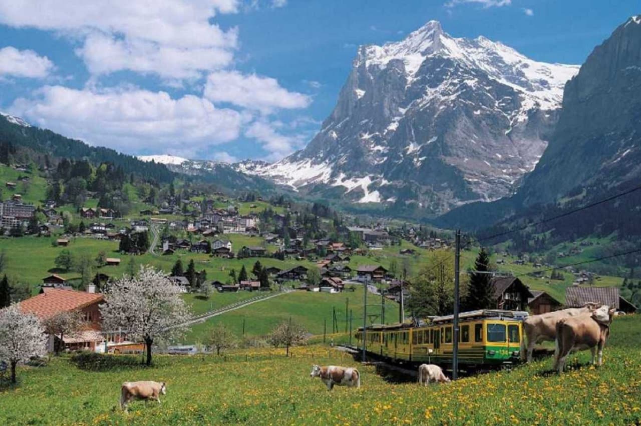Grindelwald, Interlaken, and Lauterbrunnen Full-Day Tour - image 2