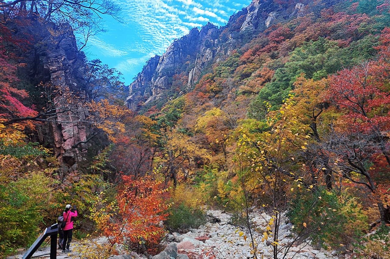 Nami Island and Mount Seorak Full-Day Tour from Seoul - 이미지 2