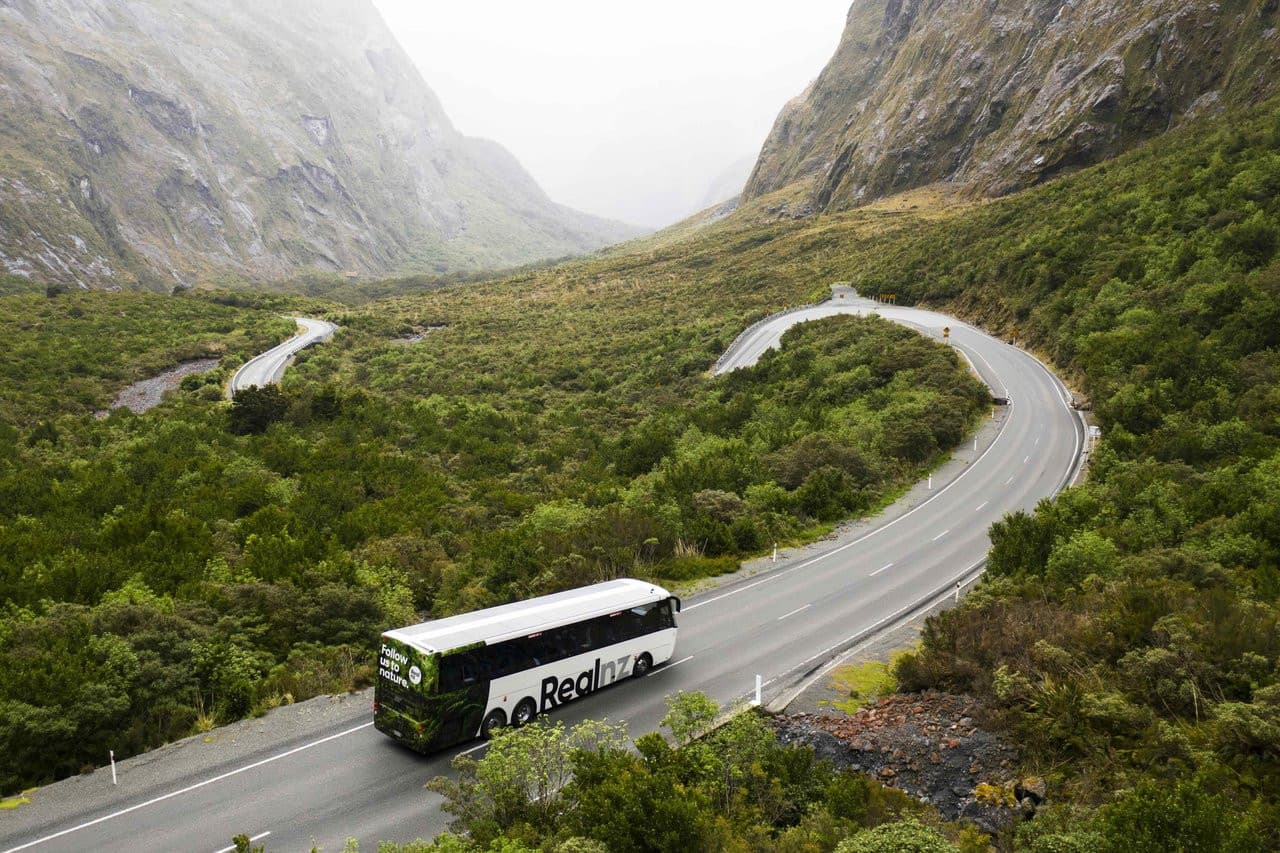 Excursión en autobús y crucero por Milford Sound desde Queenstown - imagen 4