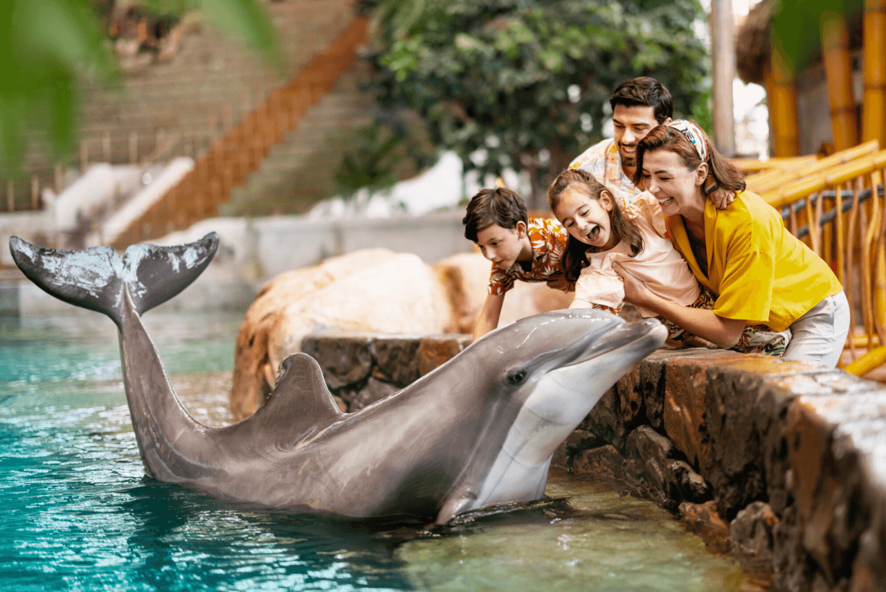 SeaWorld Abu Dhabi Ticket - image 10