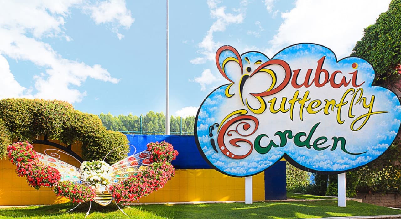 Dubai Butterfly Garden - main image