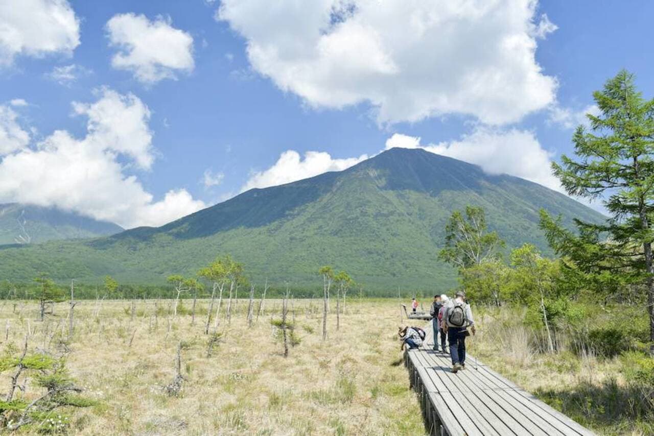 Nikko Pass All Area - image 6