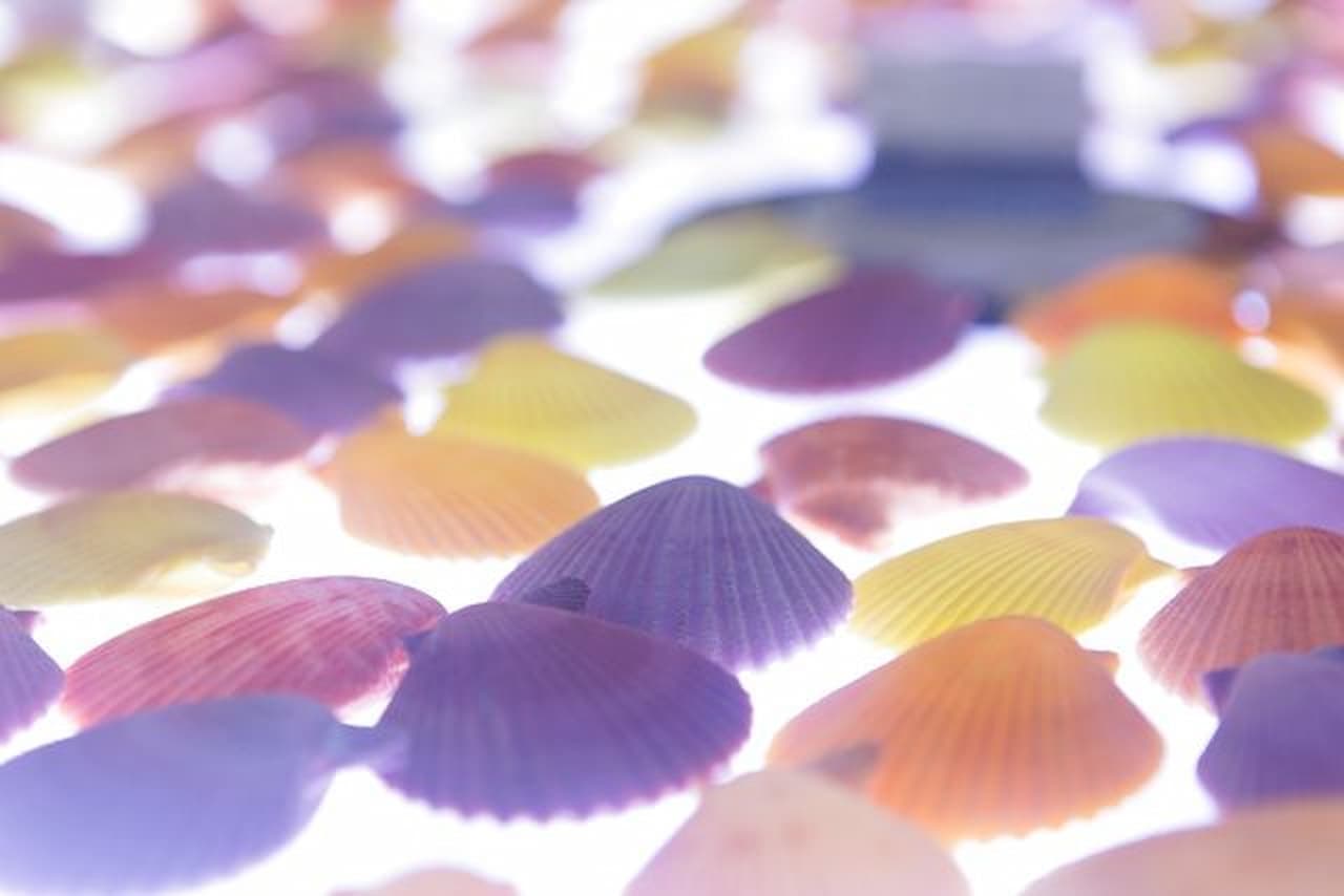 Kouri Ocean Tower Ticket - image 9