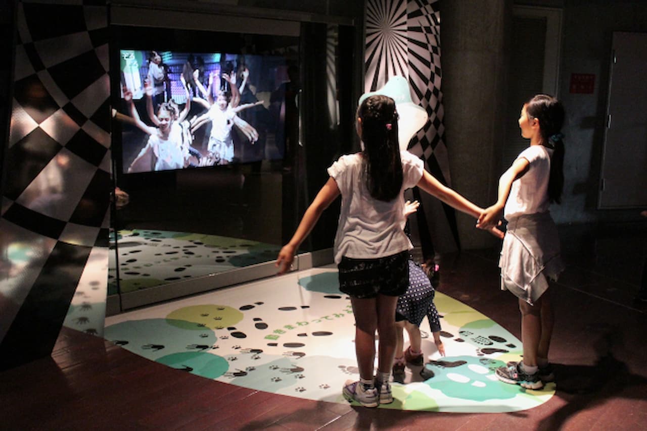 Okinawa Zoo & Museum Ticket - image 12