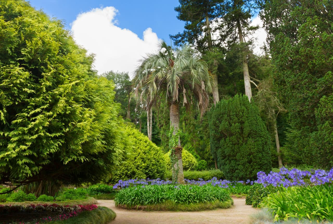 Pena Park in Sintra Ticket - image 6