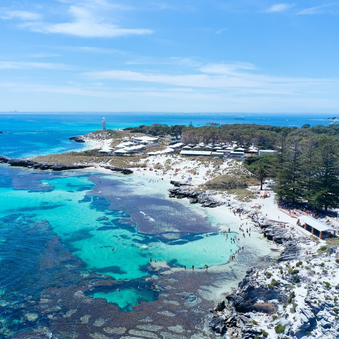 Rottnest Island Bayseeker Bus Tour with Round Trip SeaLink Ferry Transfer - imagen 4
