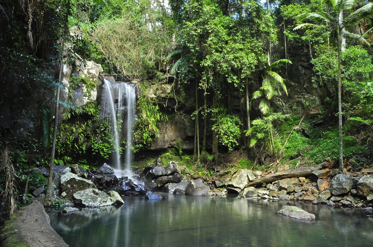 Tamborine Mountain Guided Walk and Wine Tasting Tour - imagen 11