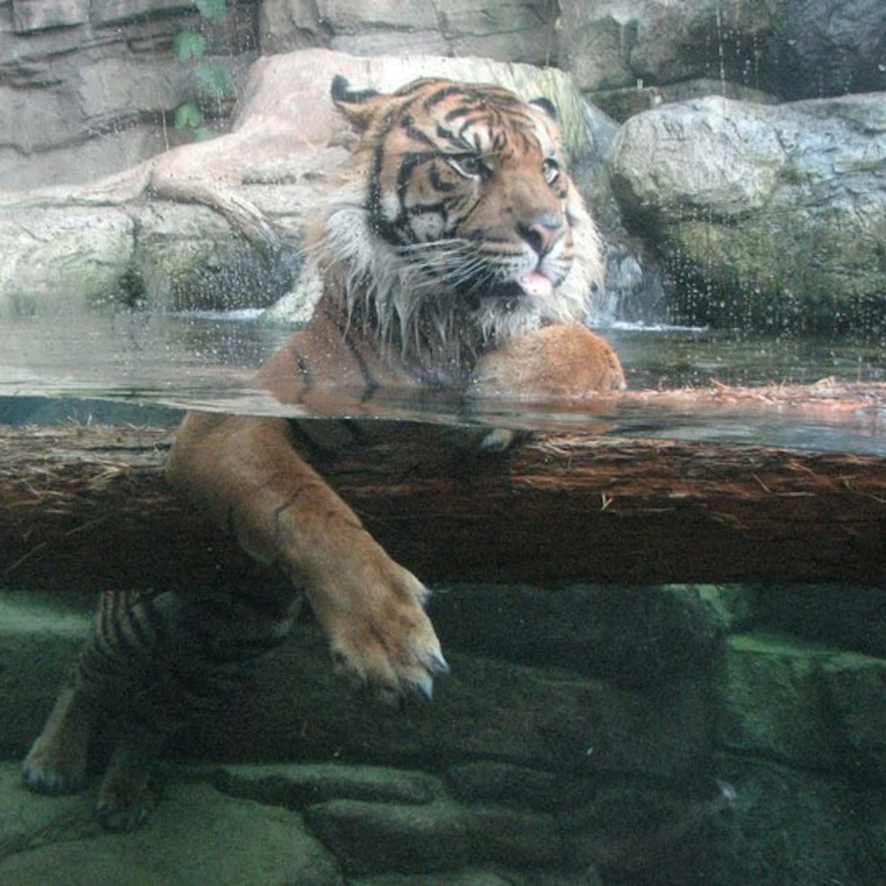 Downtown Aquarium Denver Ticket - image 13