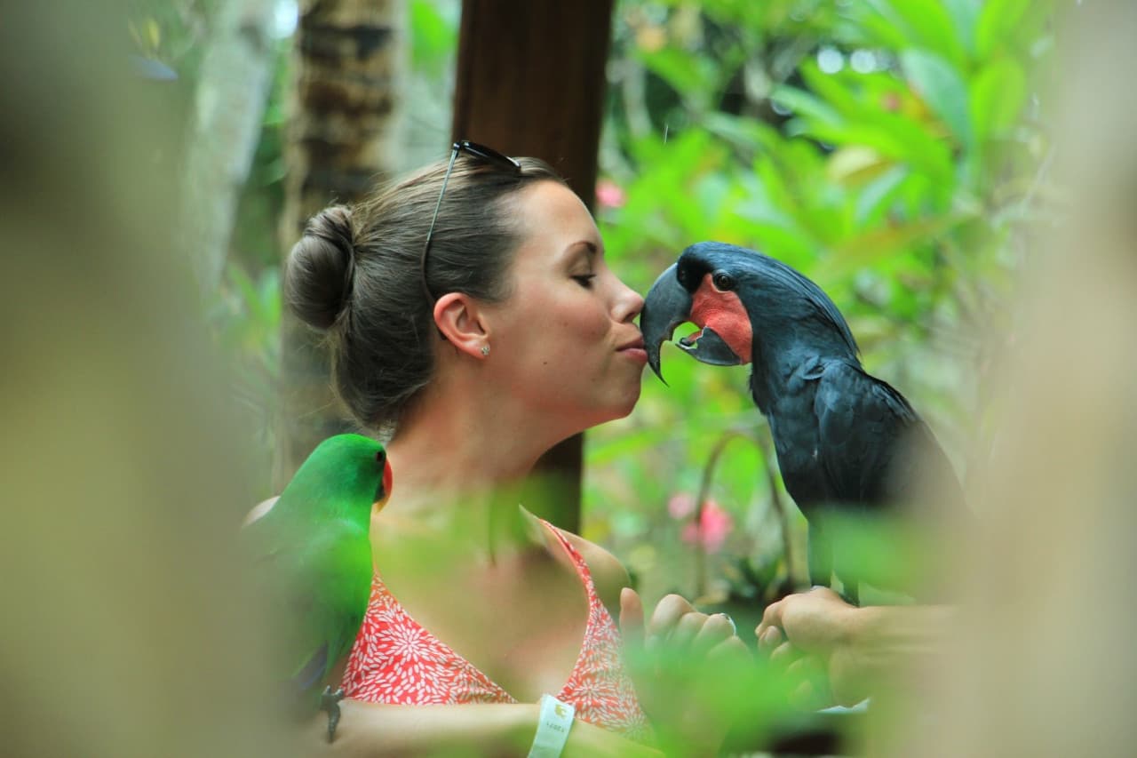 Lombok Wildlife Park: Intimate Wildlife Experience - main image