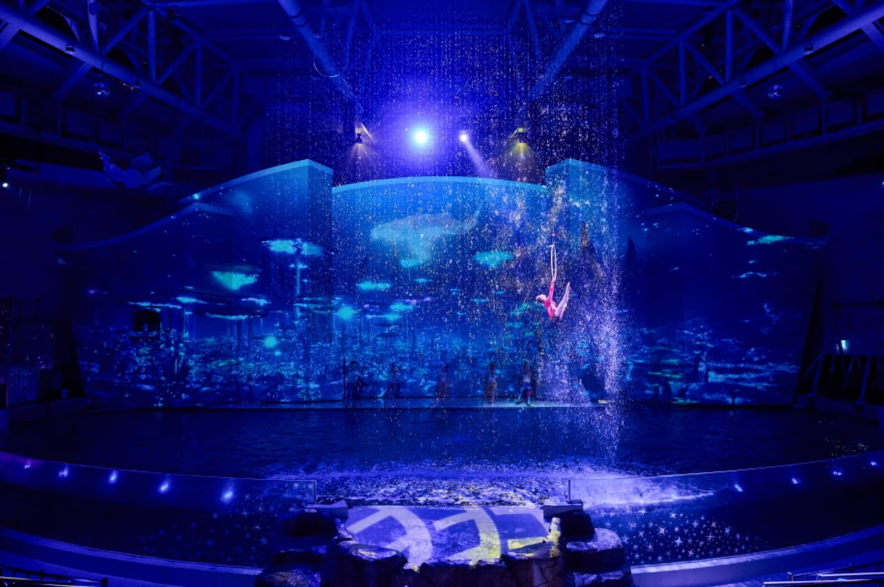 Aqua Planet Jeju Aquarium Ticket - image 5