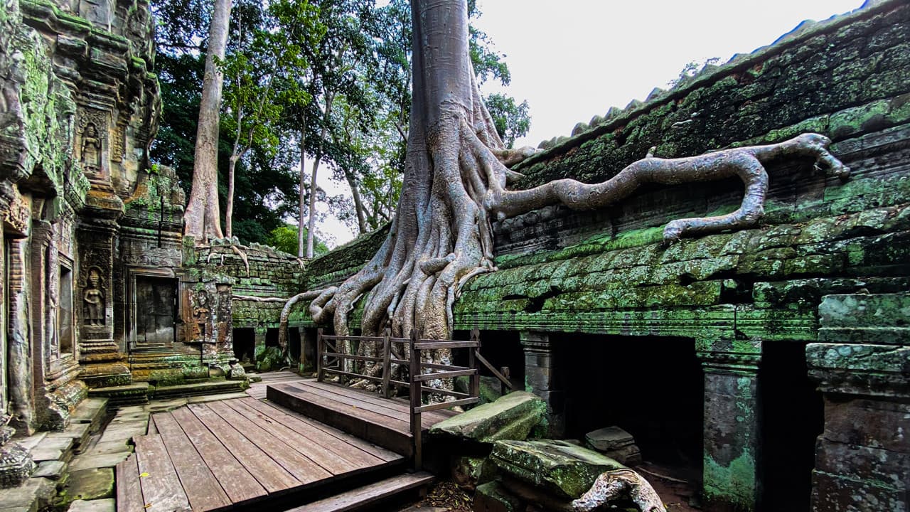 Angkor Temples Tour - image 2