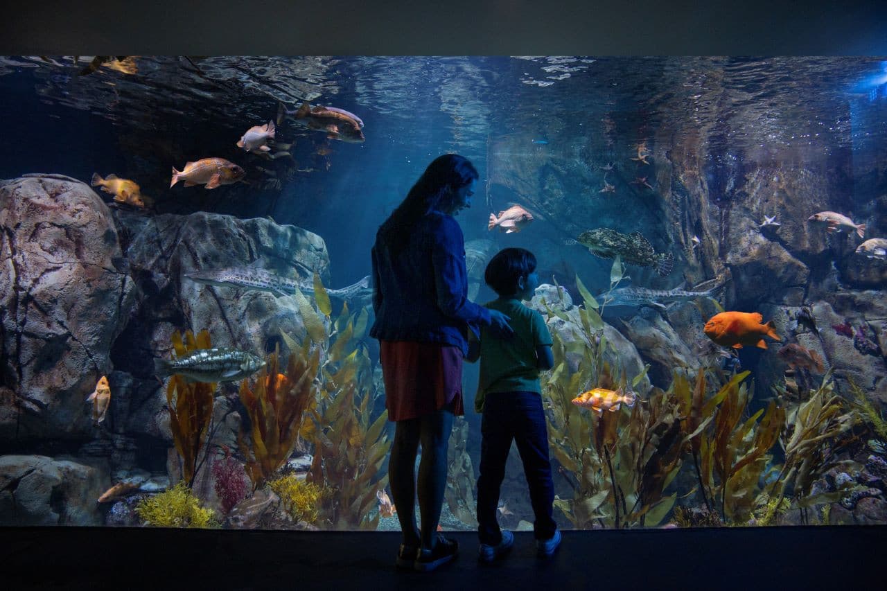 Go City Los Angeles All-Inclusive Pass: Save up to 50% on Attractions - image 6