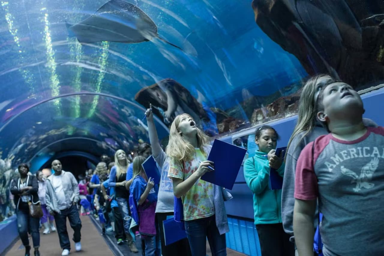 Georgia Aquarium: Fast Track Ticket - image 3