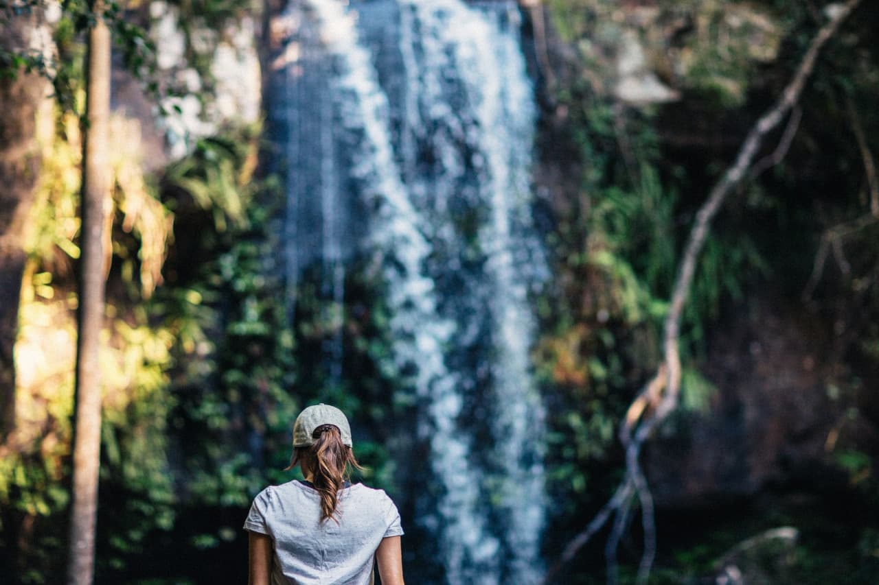 Tamborine Mountain Guided Walk and Wine Tasting Tour - image 5