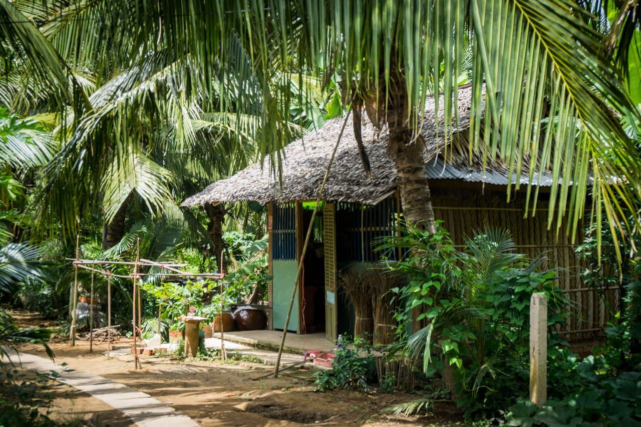 Tour de día completo al delta del Mekong, Cai Be y la isla Tan Phong desde Ho Chi Minh - imagen 3