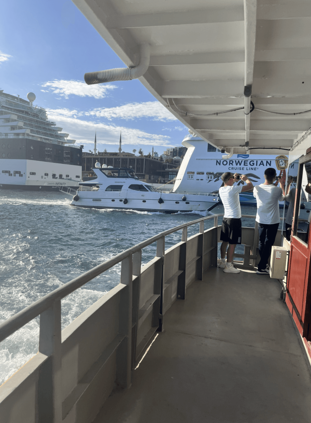 Golden Horn and Bosphorus Sightseeing Cruise with Audio Guide - image 8