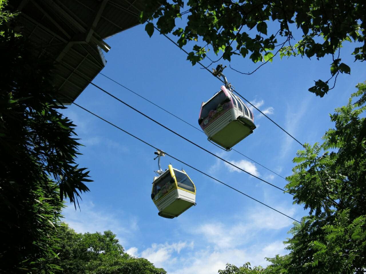 COMBO: Taipei Zoo + Maokong Gondola - image 4