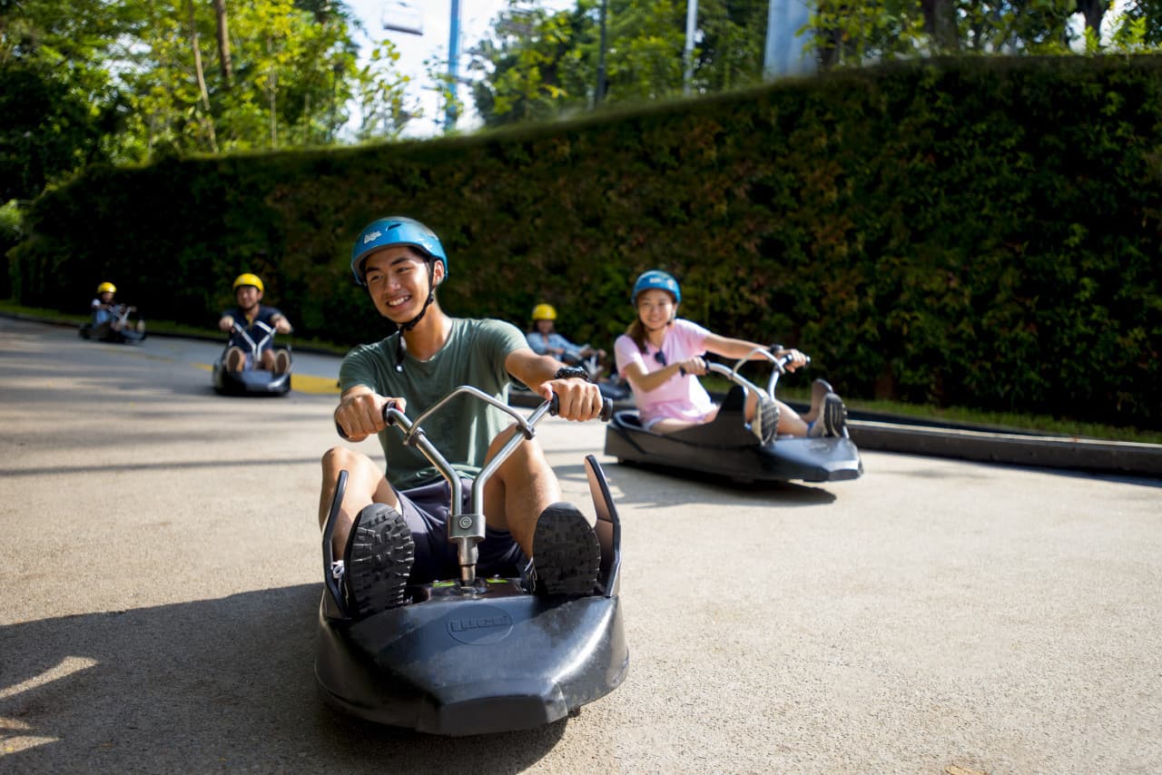 COMBO: Skyline Luge Singapore + Gardens by the Bay Ticket - image 8