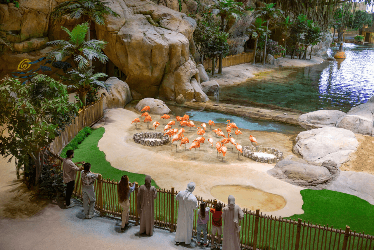 SeaWorld Abu Dhabi Ticket - image 6