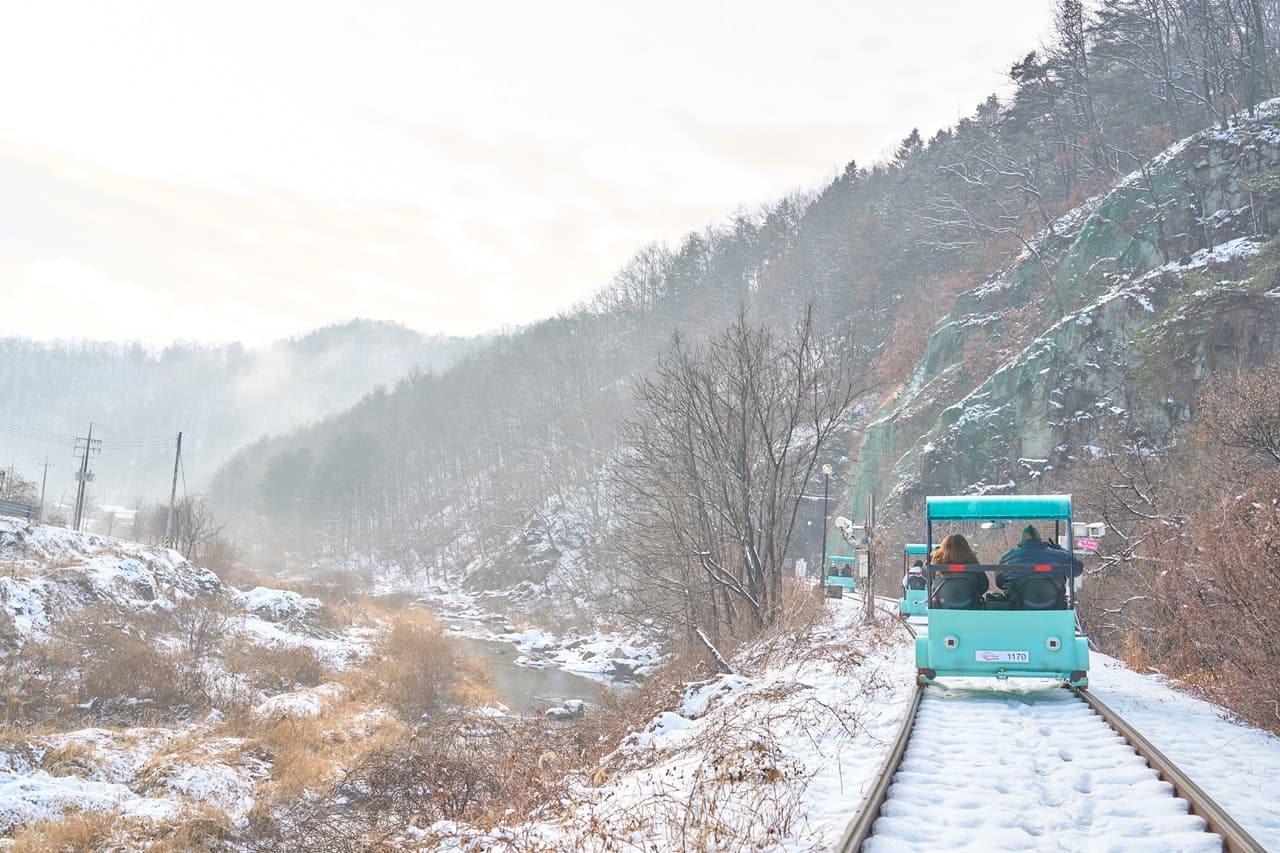 Nami Island, Mount Seorak, and Garden of Morning Calm Full-Day Tour from Seoul - image 18