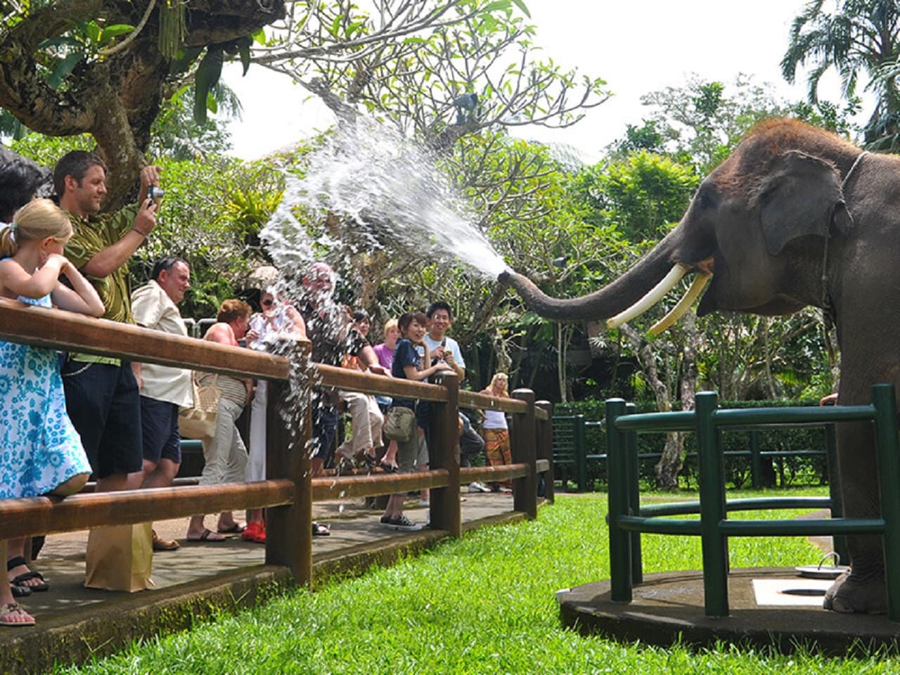 Mason Elephant Park Bali de Mason Adventures (anteriormente conocido como Elephant Safari Park) - imagen 6