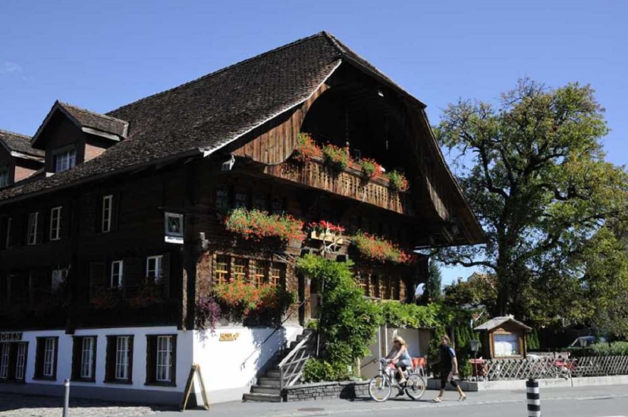 Grindelwald, Interlaken, and Lauterbrunnen Full-Day Tour - image 5