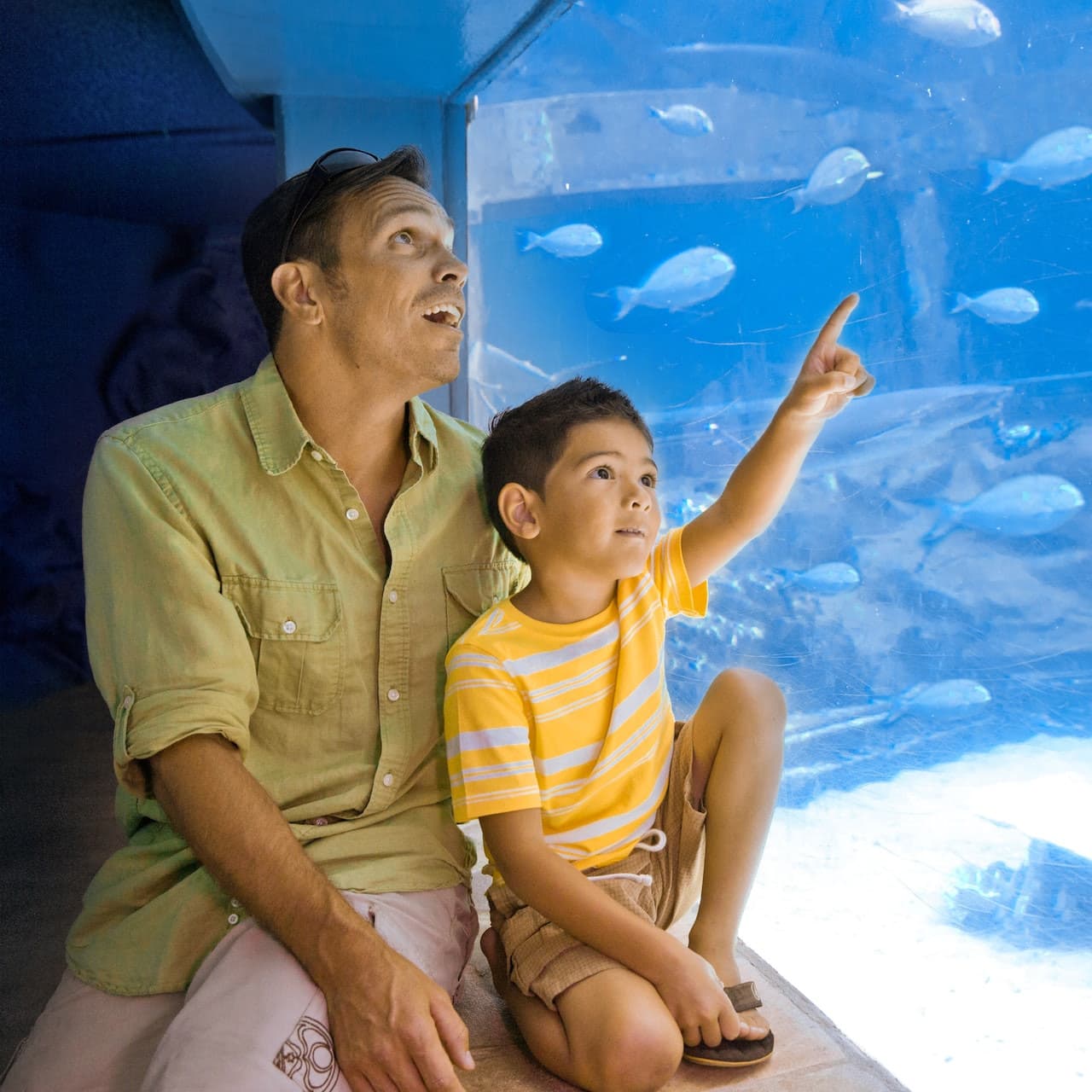 Sea Life Park Hawaii - image 5