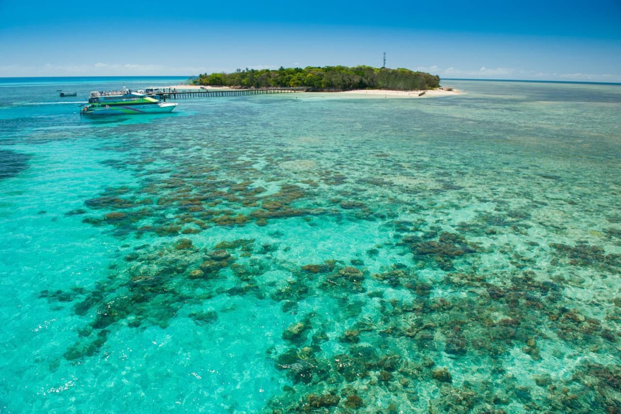 Green Island Reef Full-Day Cruise - image 5