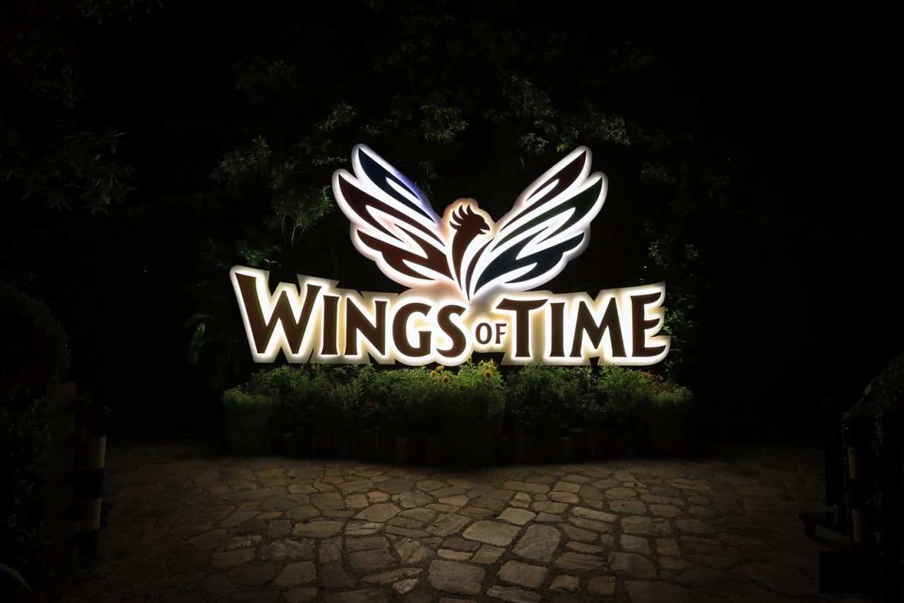 Wings of Time Fireworks Symphony Ticket - image 14