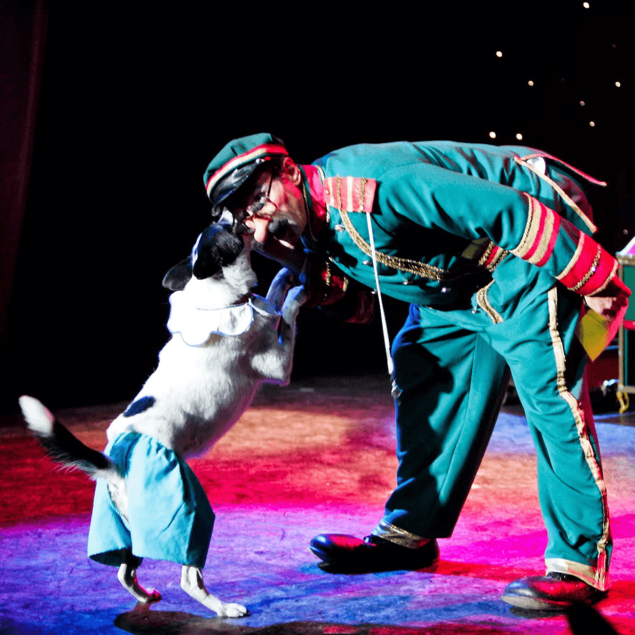 V Theatre Las Vegas - Popovich Comedy Pet Theatre - image 2