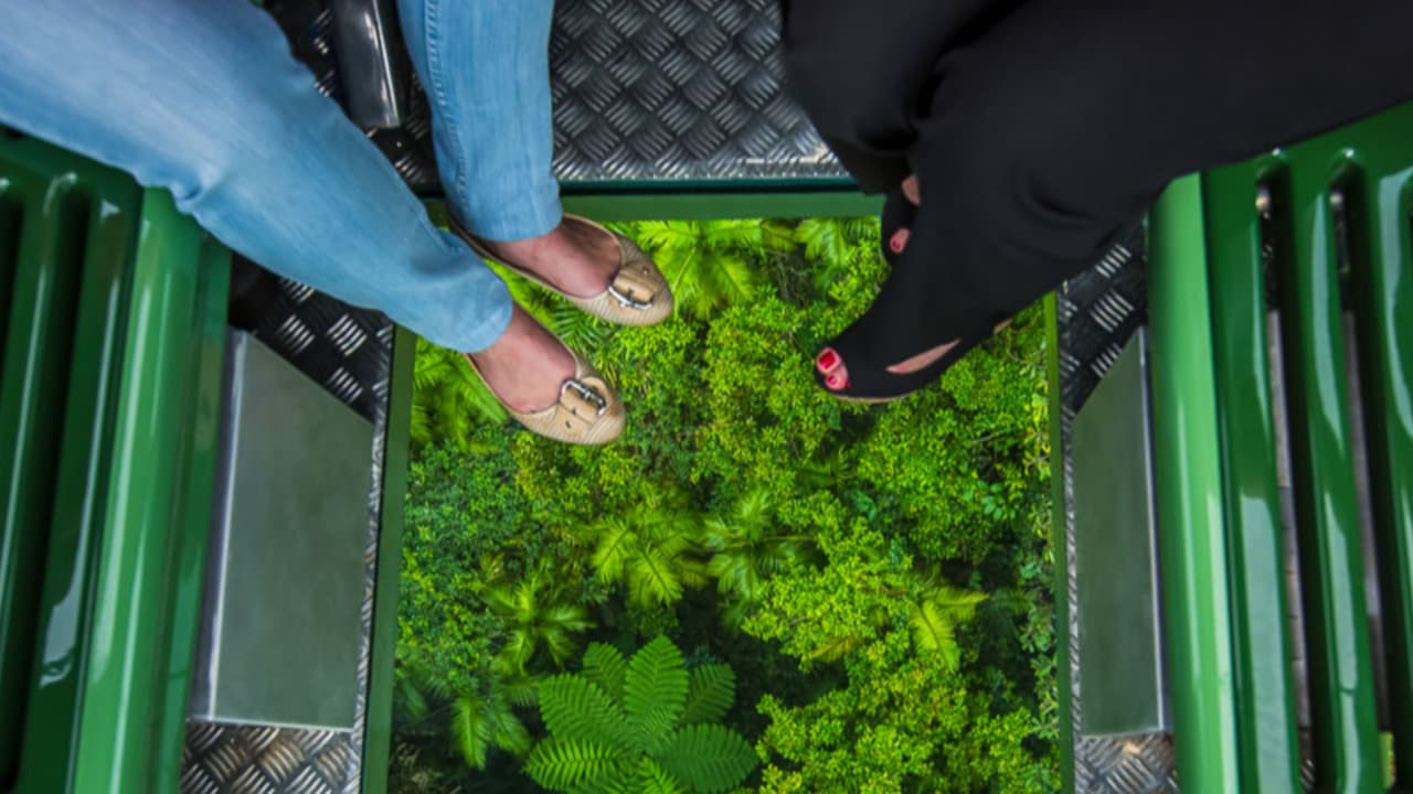 Skyrail Rainforest Cableway with Optional Kuranda Scenic Train Ticket and Hotel Pick-Up - imagen 6
