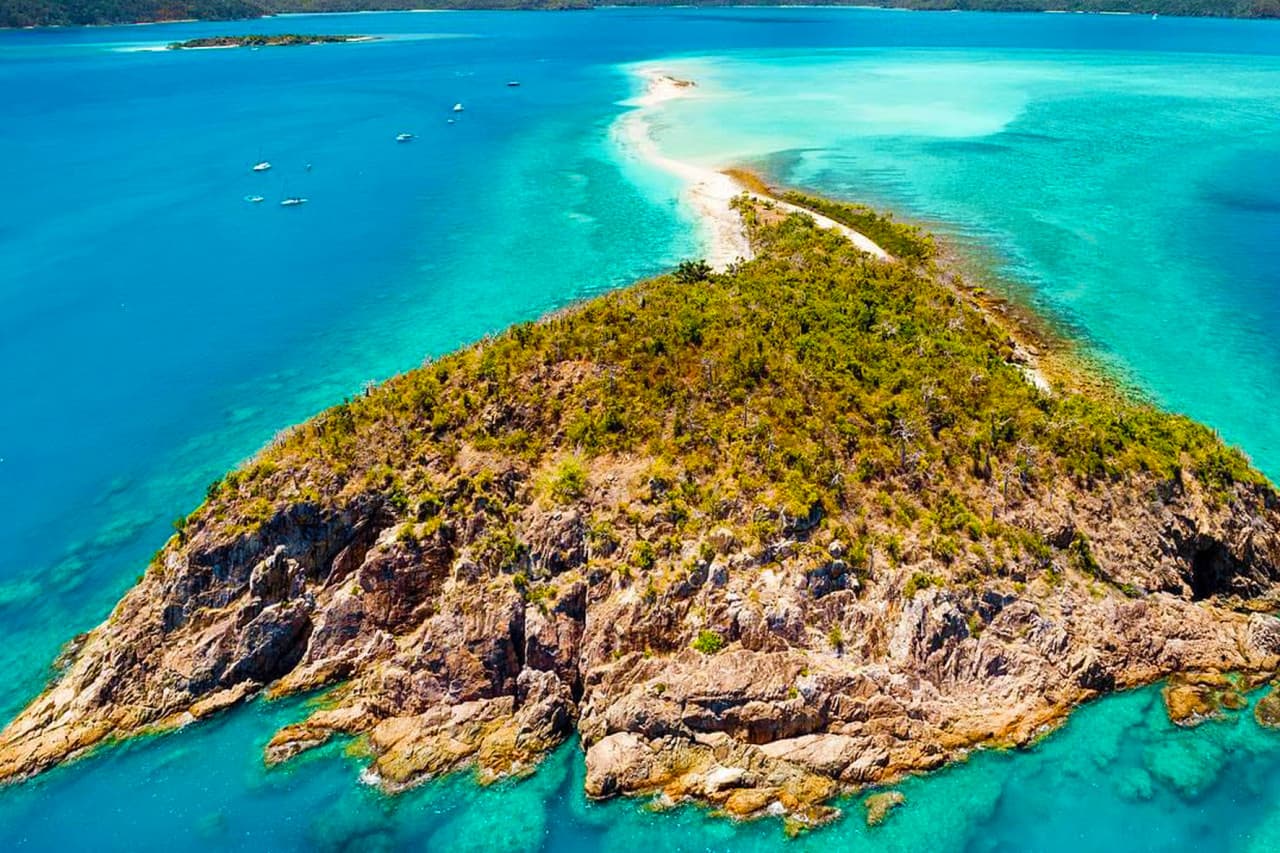 Tongarra Day Sailing Tour - image 7