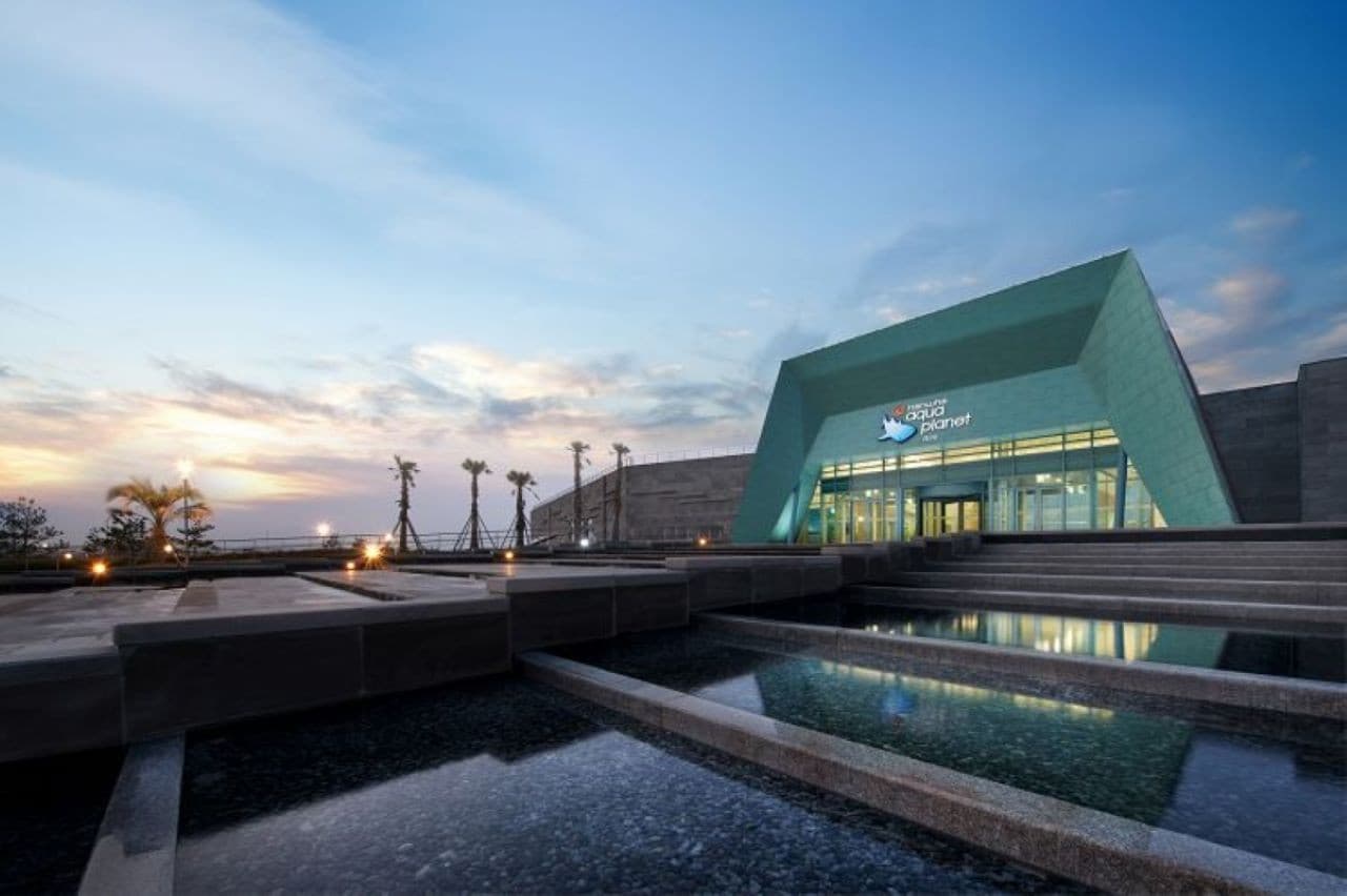 Aqua Planet Jeju Aquarium Ticket - image 18